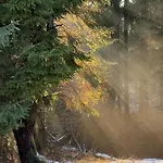Bacovka Szlembark- Jacuzzi, Kominek, Widok Na Tatry בית נופש