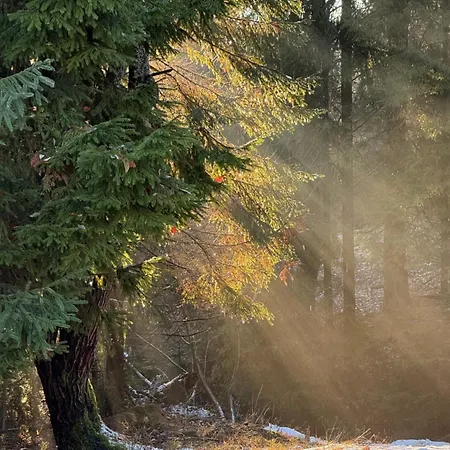 Bacovka Szlembark- Jacuzzi, Kominek, Widok Na Tatry Ferienhaus